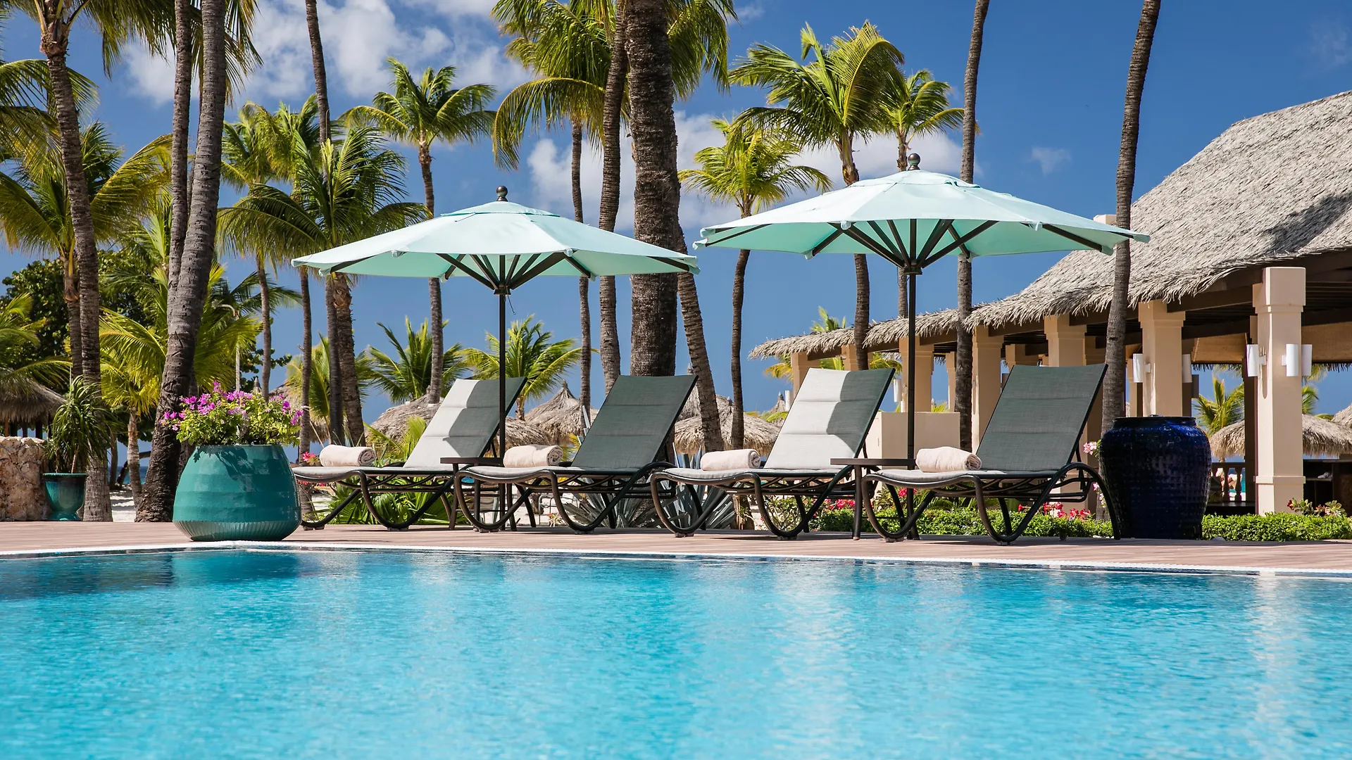 פאלם ביץ' Manchebo Beach Resort And Spa פאלם ביץ'