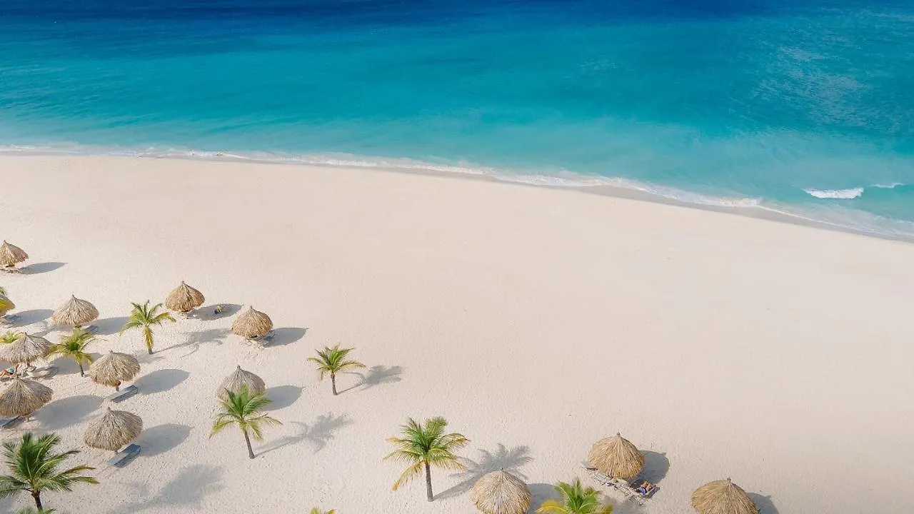 ****  פאלם ביץ' Manchebo Beach Resort And Spa ארובה