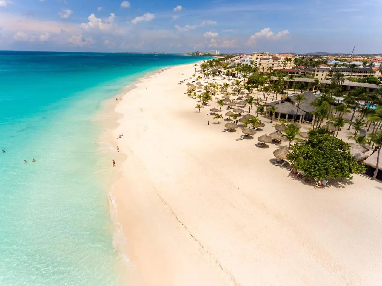 ****  פאלם ביץ' Manchebo Beach Resort And Spa ארובה