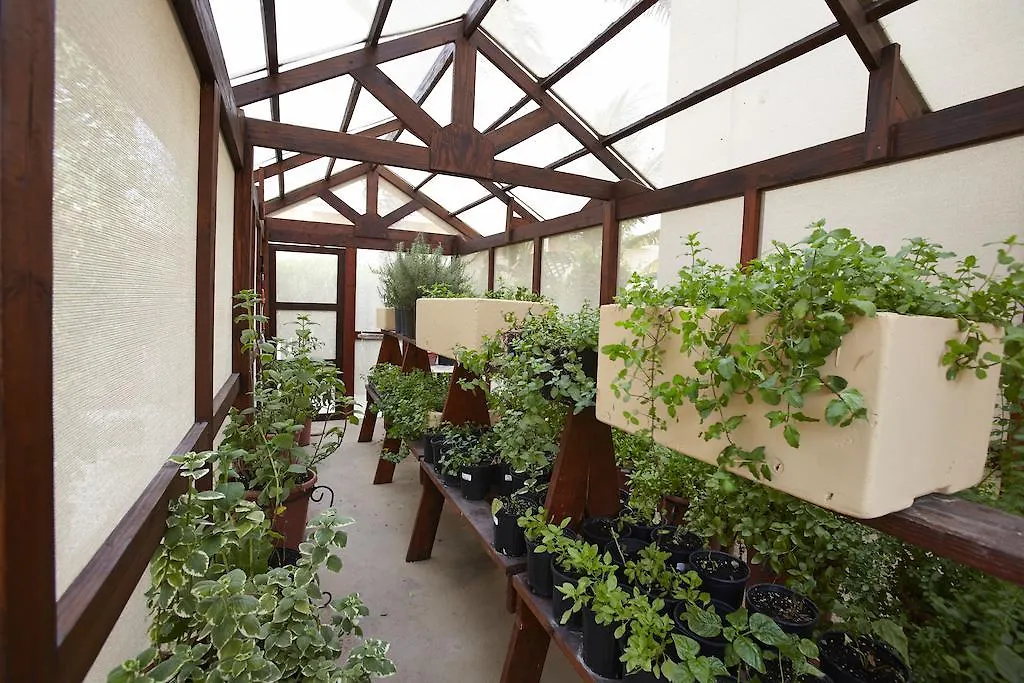 פאלם ביץ' Manchebo Beach Resort And Spa