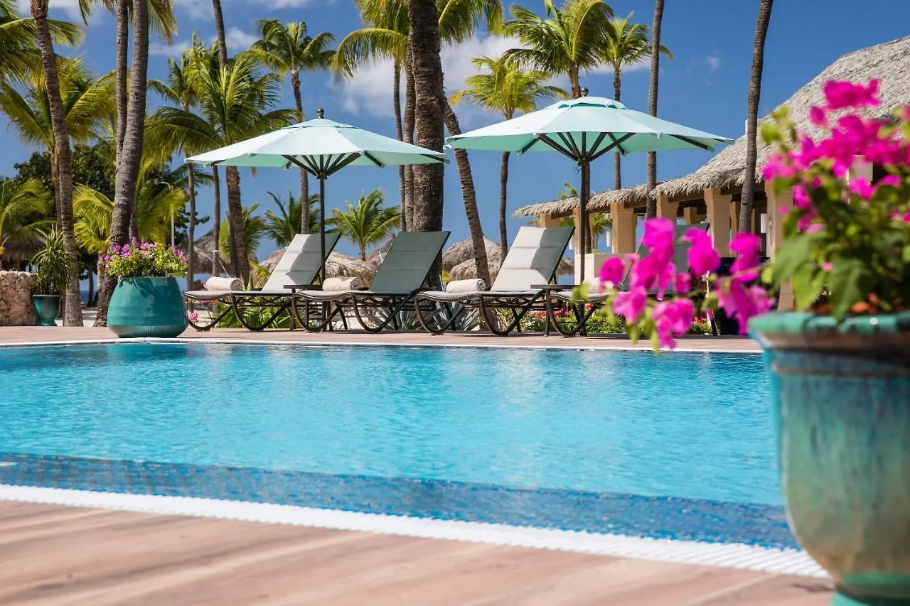 פאלם ביץ' Manchebo Beach Resort And Spa