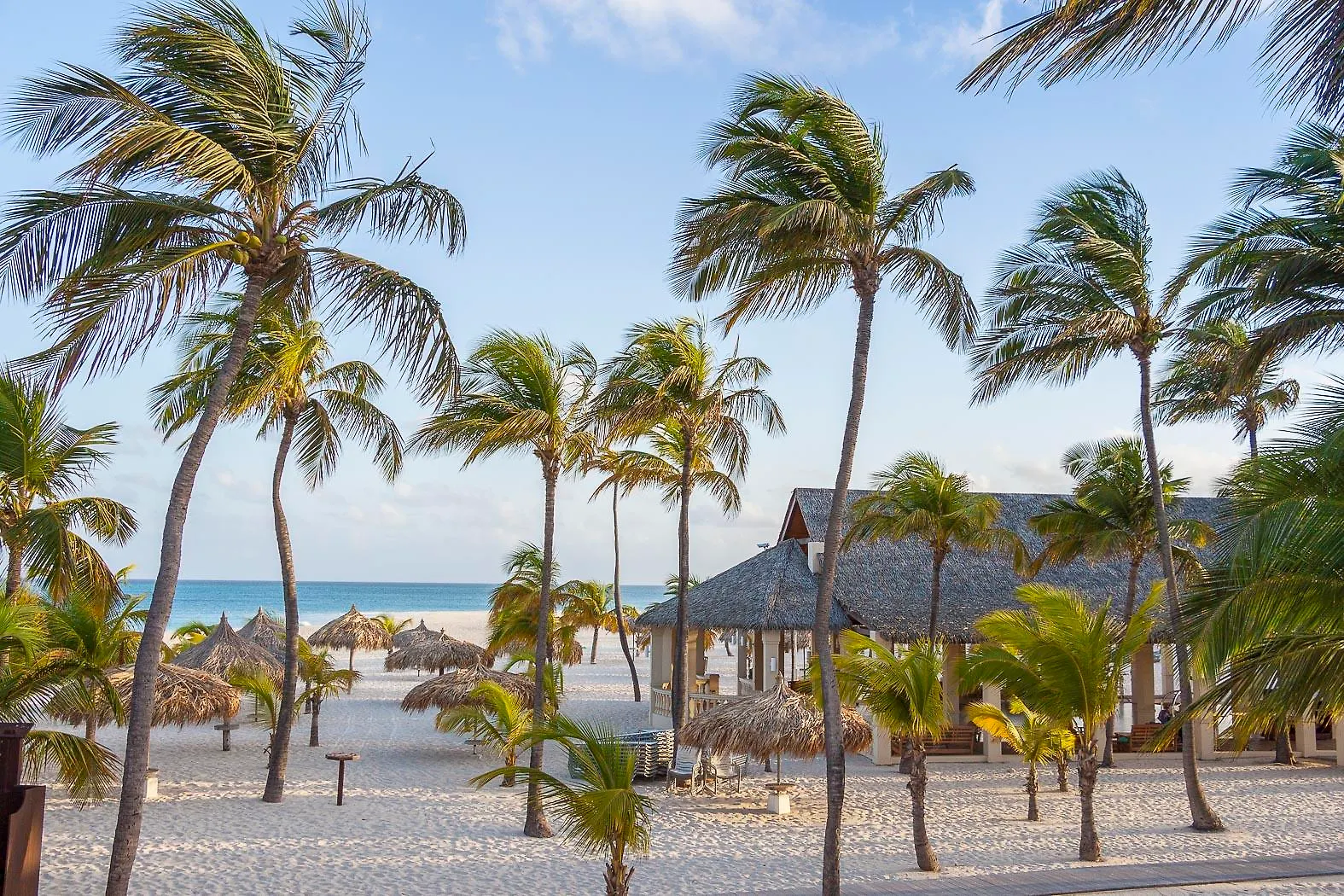 Manchebo Beach Resort&Spa Palm Beach 4*,