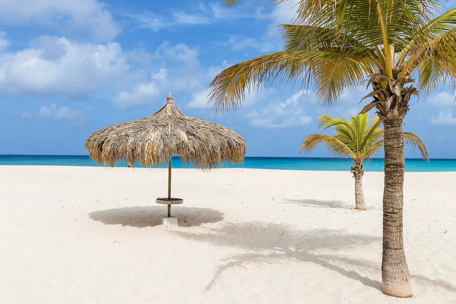 Manchebo Beach Resort&Spa Palm Beach